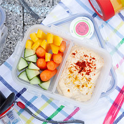 mealprep-lunchbox(1)